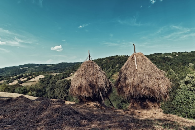 Hay stack on the meadow, country lifestyle at mountain village.