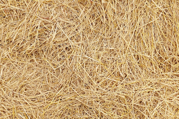 Photo hay straw yellow background texture
