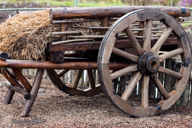 Photo hay on wooden cart at field