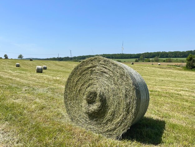 Haylage wordt met gras gedroogd tot een luchtvochtigheid van 5055 en bewaard in afgesloten containers