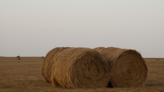 Photo haystack on the farm at sunset.