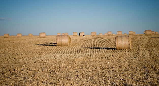 Haystack on the farm at sunset.