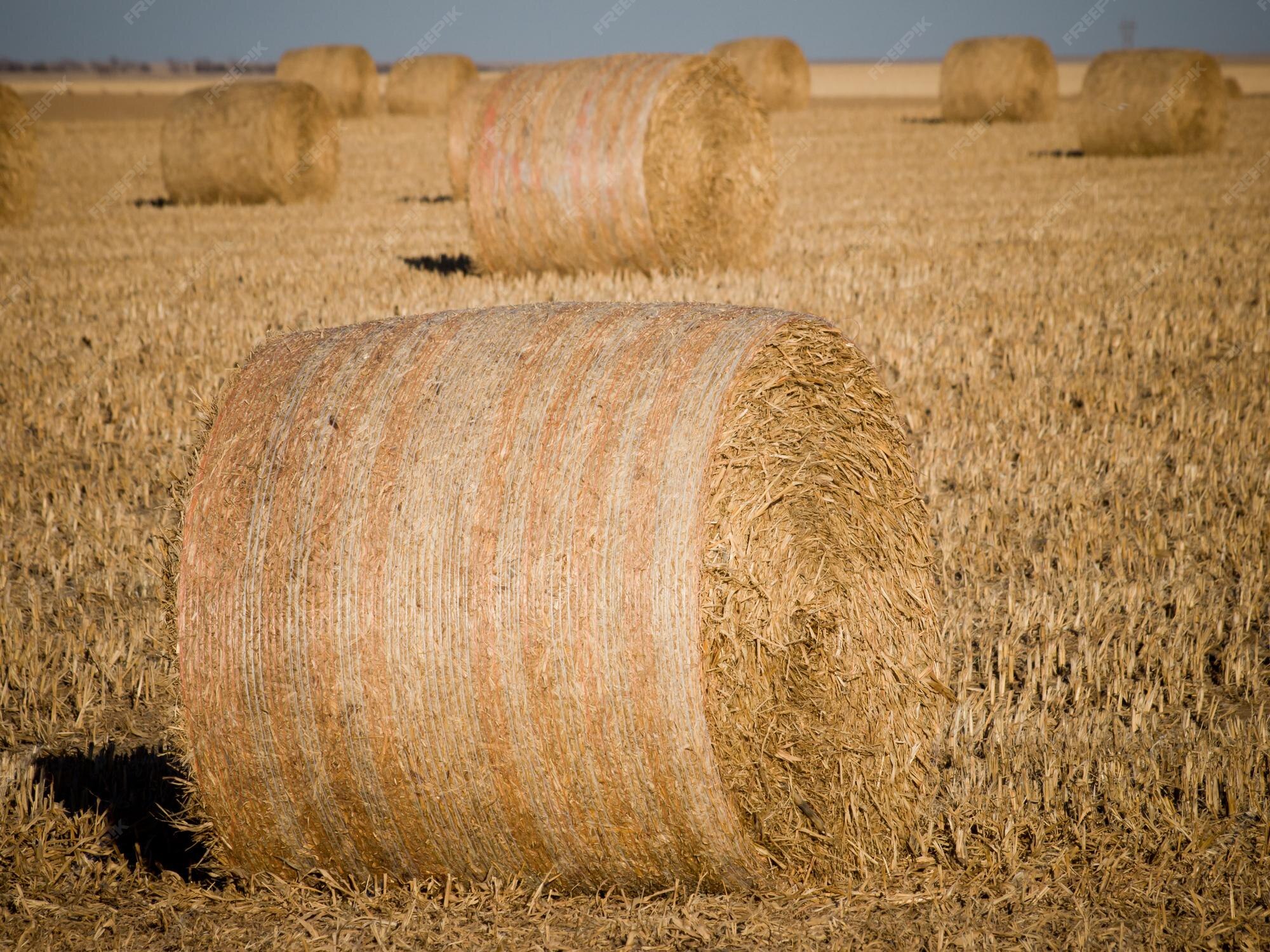 Premium Photo | Haystack on the farm at sunset.
