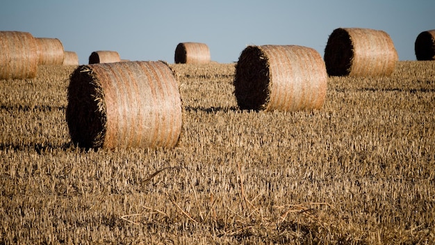 Haystack on the farm at sunset.