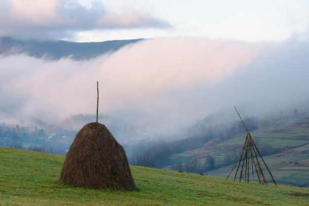 Haystack on a mountain meadow