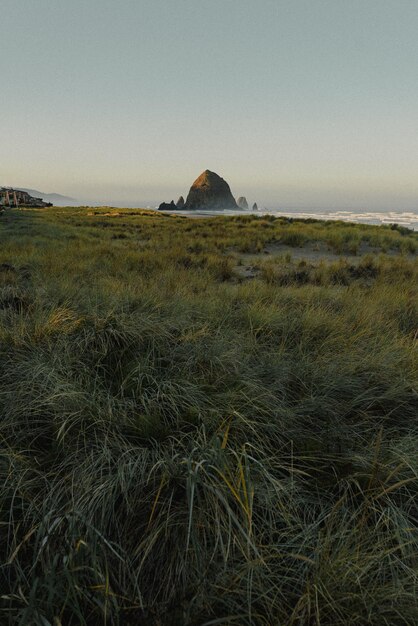 Photo haystack rock