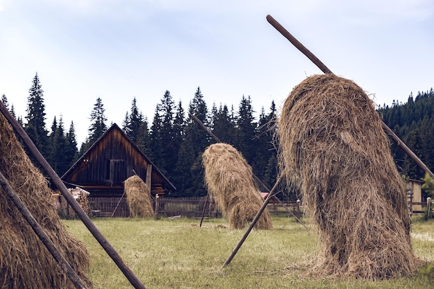 Haystack in the Ukrainian Carpathian village