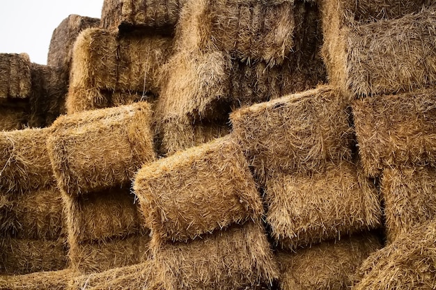 Photo haystacks are outdoors in the village