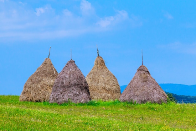 Haystacks in the Field Under the Stormy Sky