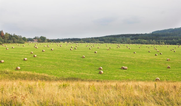 Haystacks on a green field