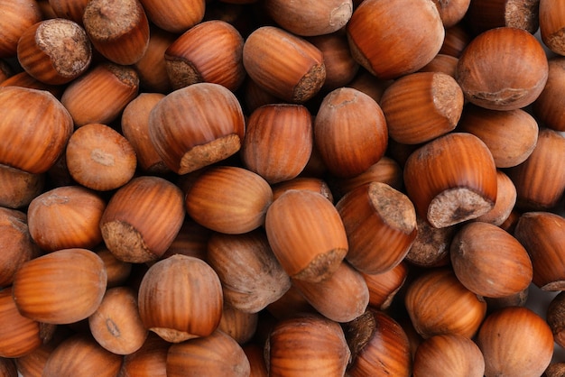 Hazelaar Cobnut Achtergrond van hazelnoten Hazelnoten in volledig scherm Veel hazelnoten