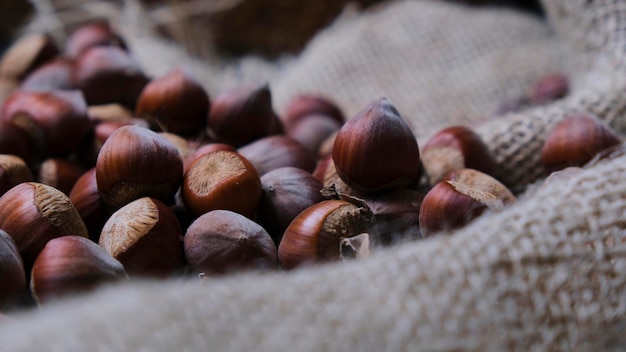 Hazelnoten in de dop op een bruine zak met een ruwe en rustieke textuur. hazelnoten in een stilleven