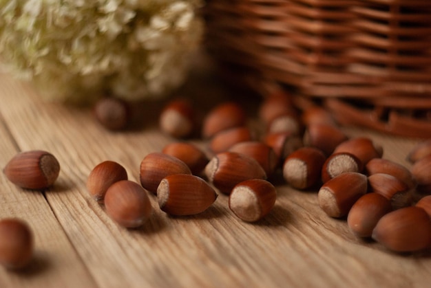 Hazelnoten in mand Gezellige herfst seizoensfoto van noten