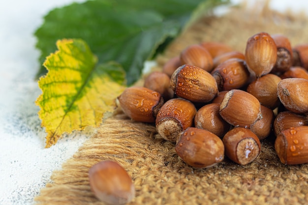 Hazelnoten op een lichte achtergrond met groene bladeren. Bevat heilzame vitamines en mineralen.