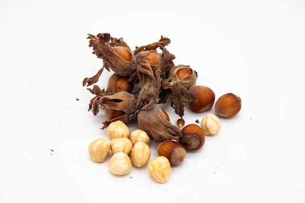 Hazelnut family. Hazelnut branch, shelled hazelnuts and peeled hazelnuts. Energy store. Cracked haze