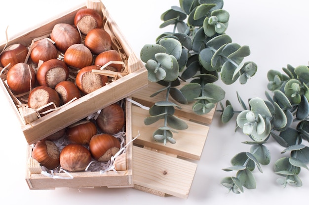 Hazelnut hazelnuts lie in wooden boxes with a sprig of eucalyptus Nuts on a white background summer postcard design