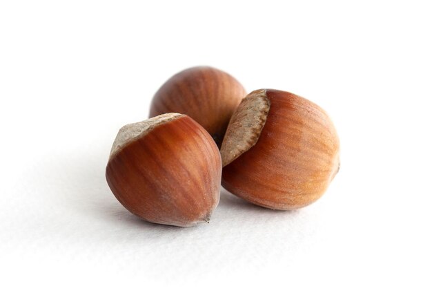 Hazelnut isolated on white background closeup