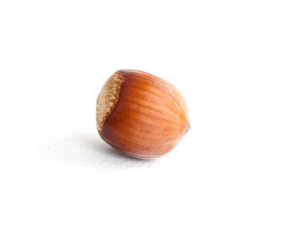 Hazelnut isolated on white background