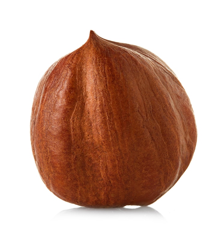 Photo hazelnut