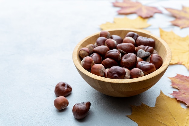 Hazelnuts and chestnuts in wooden bowl on gray concrete background and yellow autumn maple leaves with copy space.