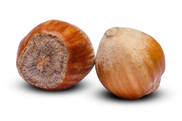 Hazelnuts close-up on white table