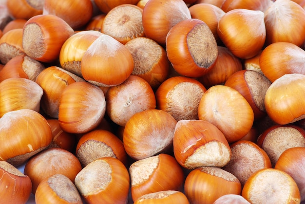 Hazelnuts closeup background