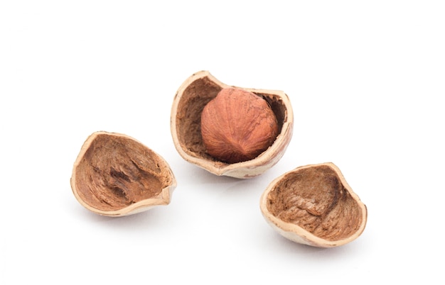 Hazelnuts fruit nutrition