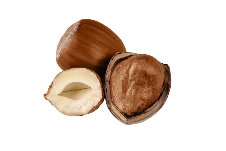 Photo hazelnuts isolated on white background whole hazelnut in nutshell and peeled for your design