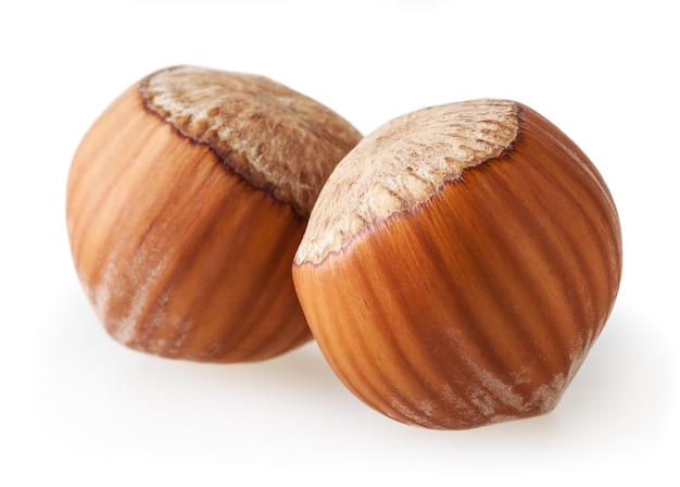 Hazelnuts isolated on white background with clipping path