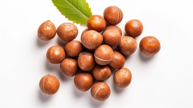 Hazelnuts isolated on white background