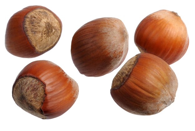 Photo hazelnuts isolated