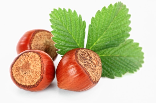 Hazelnuts on a white background