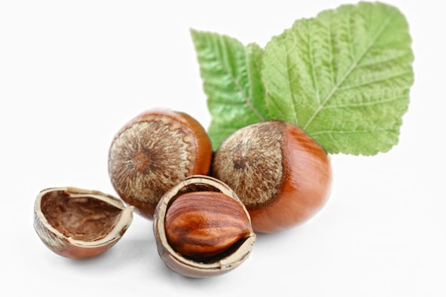 Hazelnuts on a white background