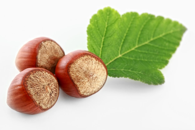 Hazelnuts on a white background