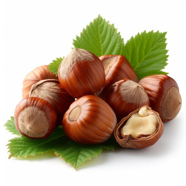 Hazelnuts with leaves