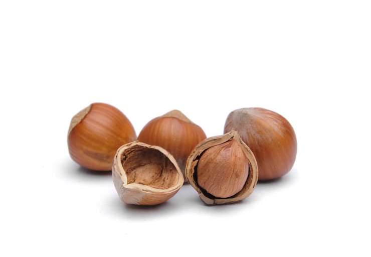 Photo hazelnuts