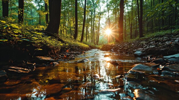 Foto immagine da parati 8k stock immagine fotografica generativa ai