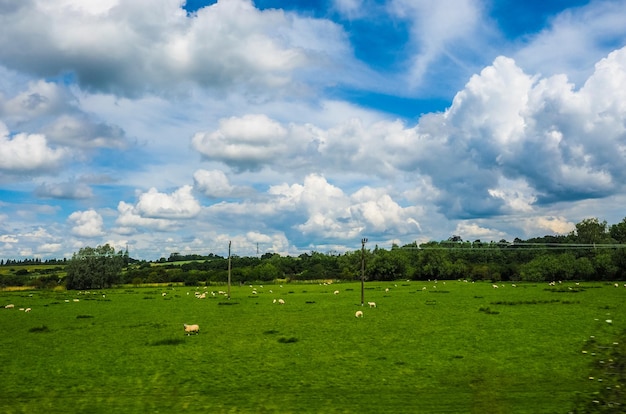 HDR English country landscape