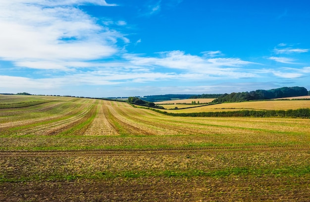 Панорама английской страны HDR в Солсбери