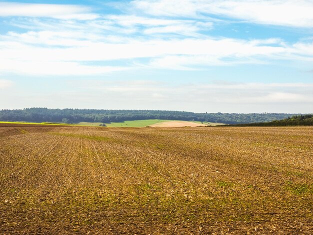 Панорама английской страны HDR в Солсбери