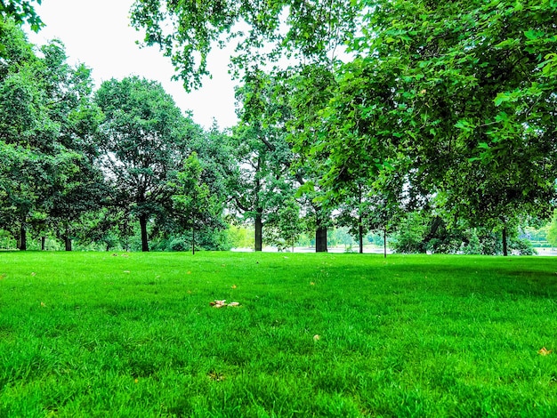 HDR Кенсингтонские сады в Лондоне