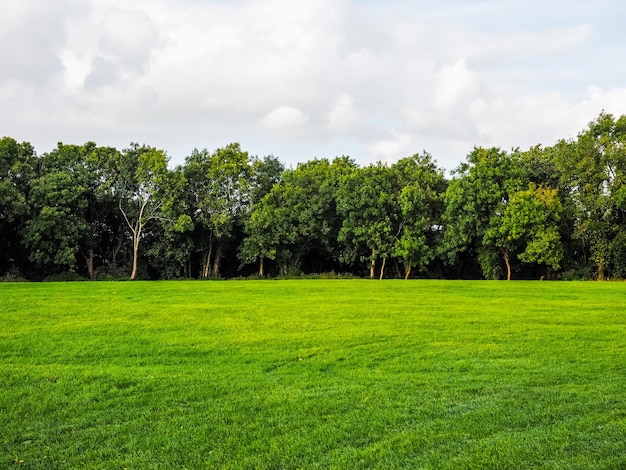 Photo hdr large urban park