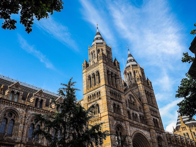 HDR Natural History Museum in London