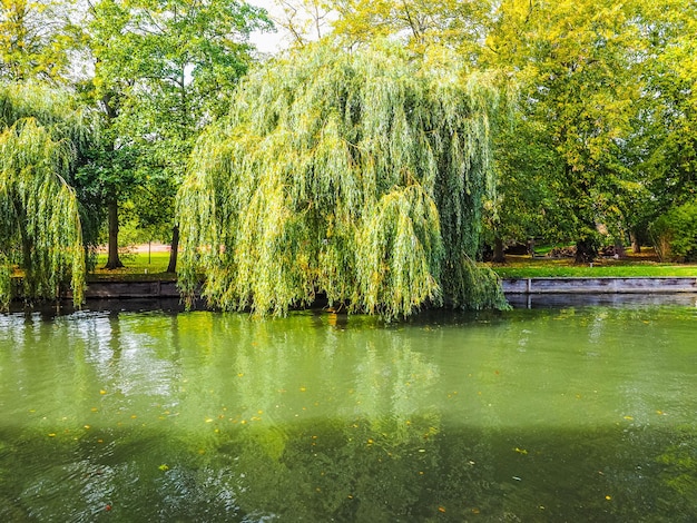 HDR River Cam in Cambridge