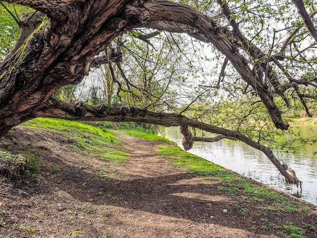 HDR Река По в Турине