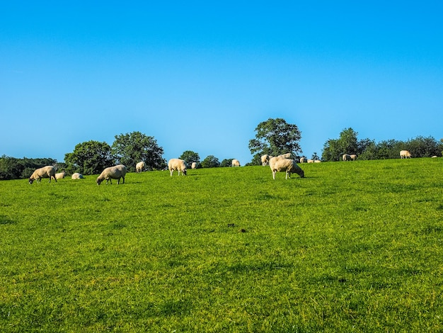 HDR View of Tanworth in Arden