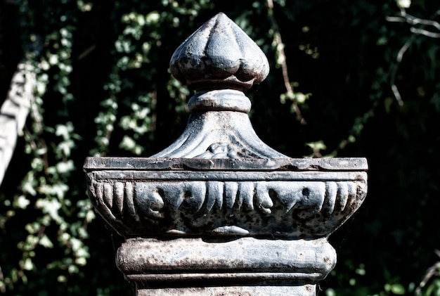 Photo head of an ancient fountain