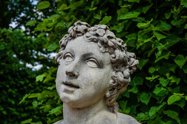 The head of an ancient sculpture in the park.