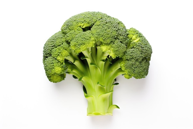 A Head Of Broccoli On A White Background