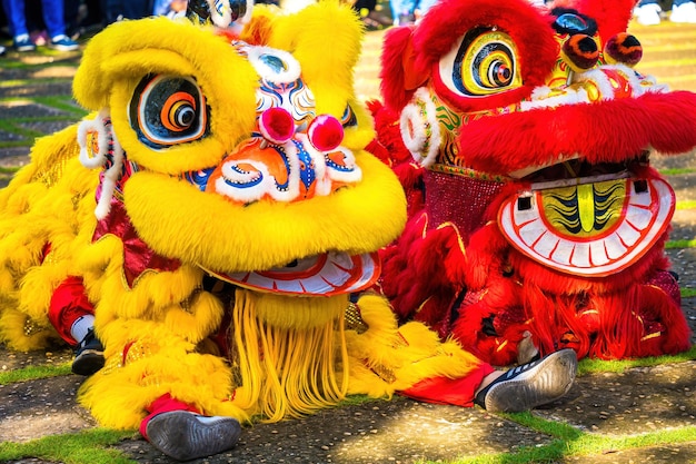 A head of chinese lion dance in the chinese new year festival lion and dragon dance during chinese new year celebration group of people perform a traditional lion dance